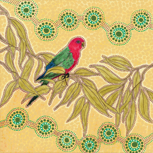 King Parrot